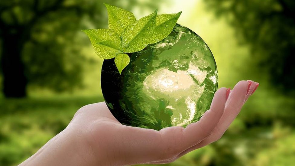 World Environment Day .