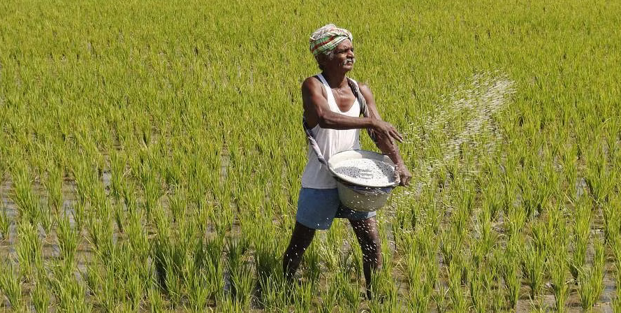 Farmers Day In Odisha