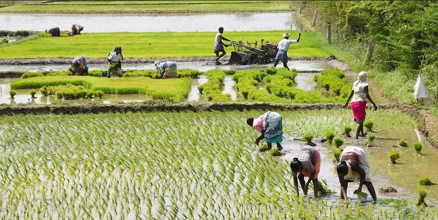 Farmers Day