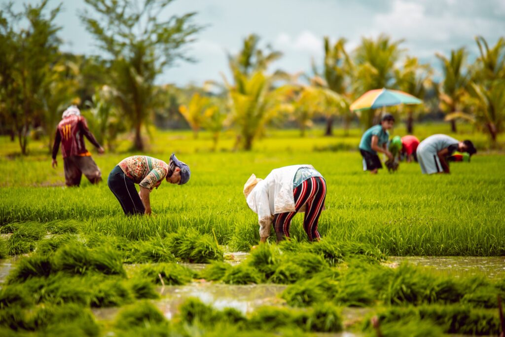 National Farmers Day in ODisha