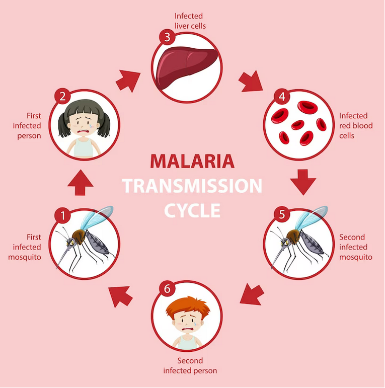 World Malaria Day