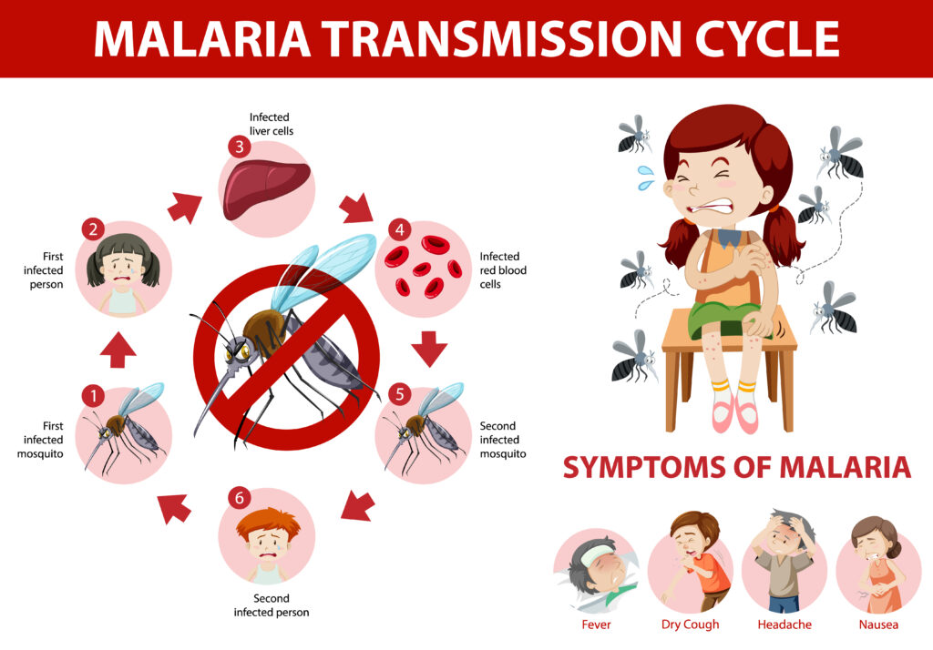 World Malaria Day