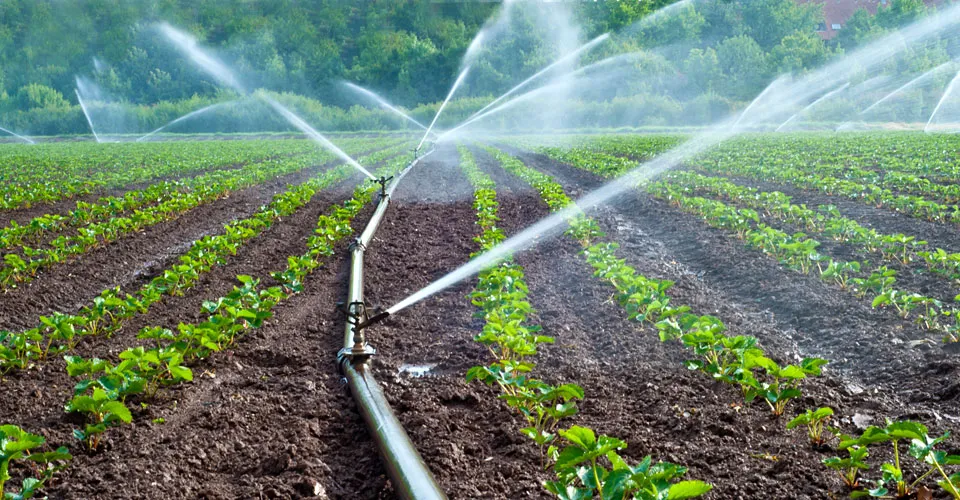 Write A FAQ For On-Farm Water Management in Odisha