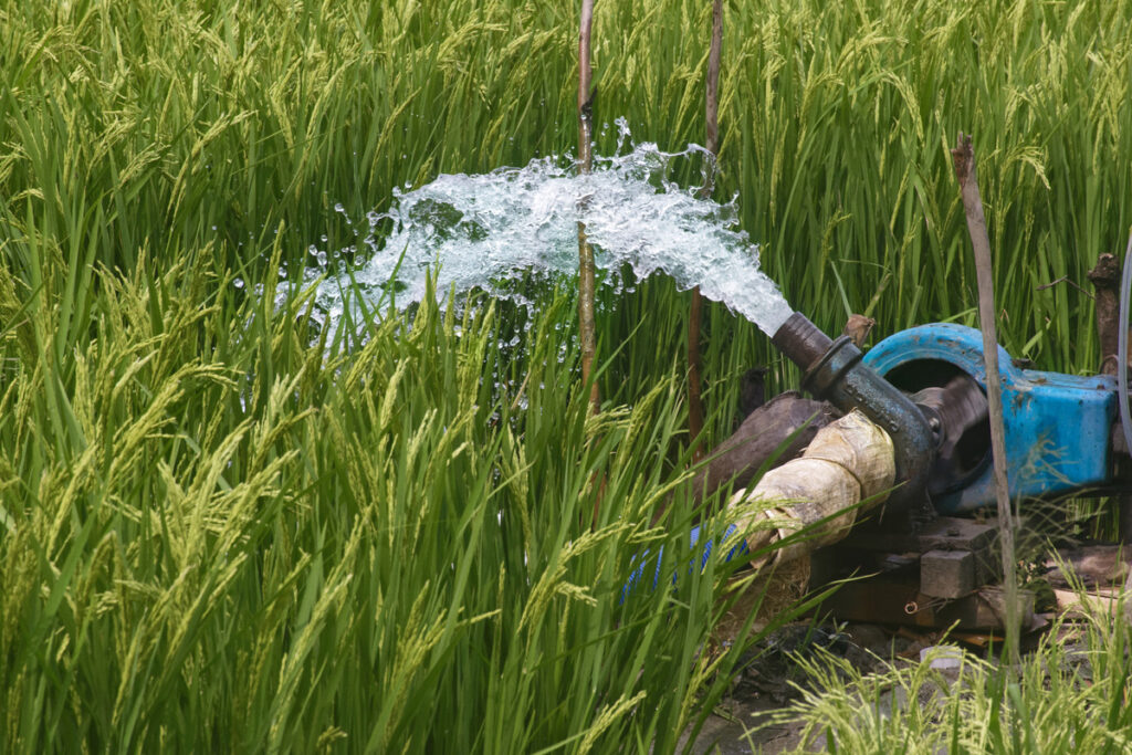 Write A FAQ For On-Farm Water Management in Odisha